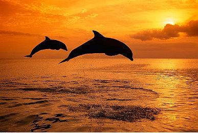 经典《克苏鲁异闻录2》最新预告 10月28日开启Steam测试